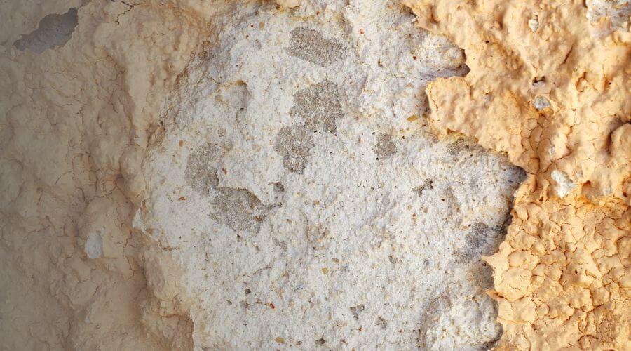 Why choose water damage restoration service for storm damage restoration in Paramus